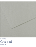 FL   MI-TEINTES®  50x65 160G  GRIS CIEL  354