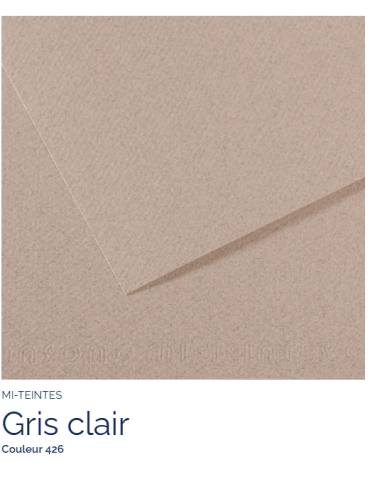 FL   MI-TEINTES®  50x65 160G  GRIS CLAIR 426