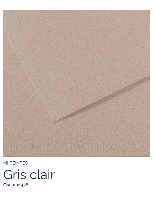 FL   MI-TEINTES®  50x65 160G  GRIS CLAIR 426