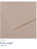 FL   MI-TEINTES®  50x65 160G  GRIS CLAIR 426