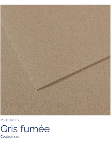 FL   MI-TEINTES®  50x65 160G  GRIS FUMEE 429