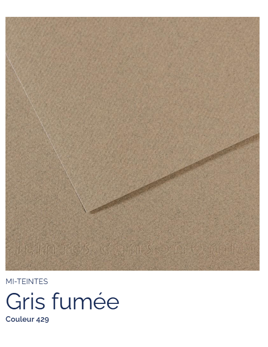 FL   MI-TEINTES®  50x65 160G  GRIS FUMEE 429