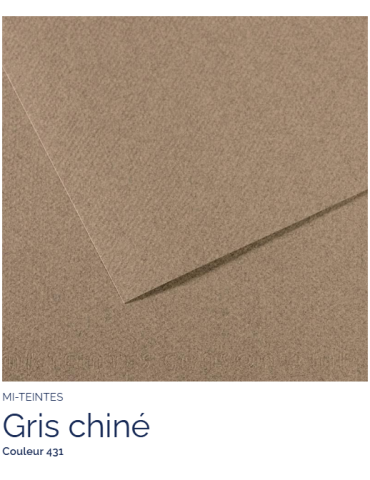 FL   MI-TEINTES®  50x65 160G  GRIS CHINE 431
