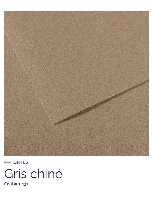 FL   MI-TEINTES®  50x65 160G  GRIS CHINE 431