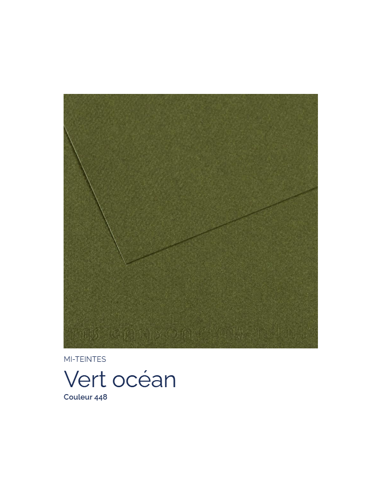 FL   MI-TEINTES®  50x65 160G  VERT OCEAN 448