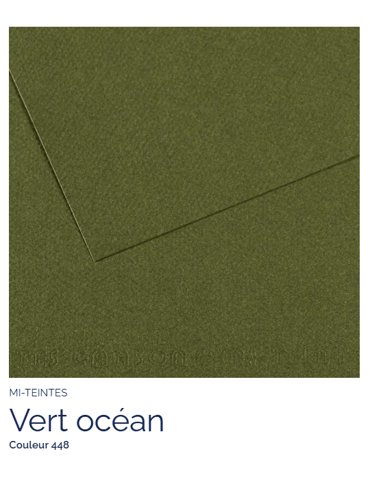 FL   MI-TEINTES®  50x65 160G  VERT OCEAN 448