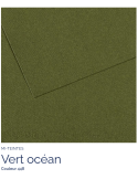 FL   MI-TEINTES®  50x65 160G  VERT OCEAN 448