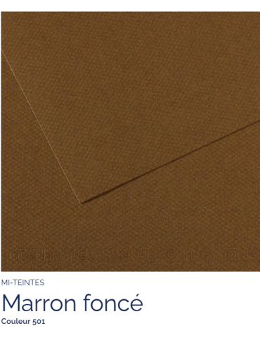 FEUILLE   MI-TEINTES®  50X65 160G  MARRON FONCE  501