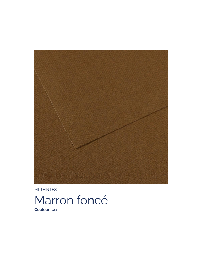 FEUILLE   MI-TEINTES®  50X65 160G  MARRON FONCE  501