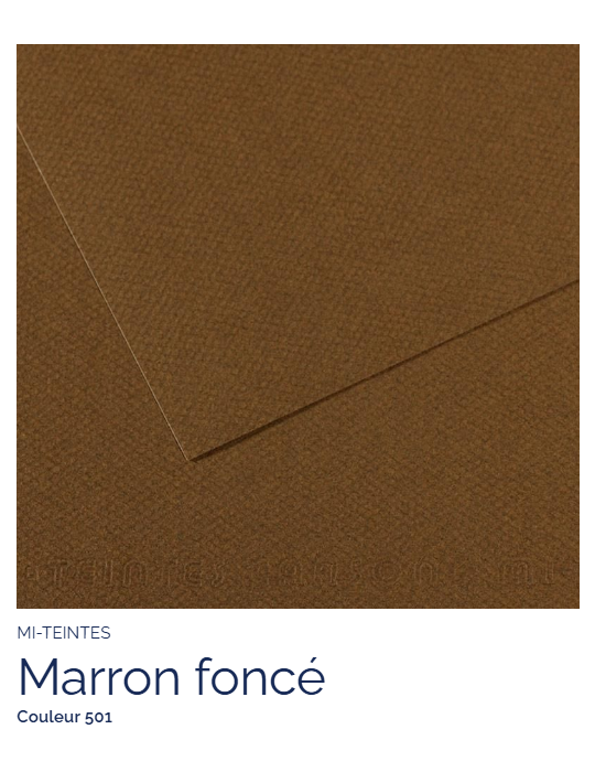 FEUILLE   MI-TEINTES®  50X65 160G  MARRON FONCE  501