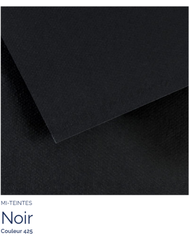 FL   MI-TEINTES®  50X65 160G  NOIR 425