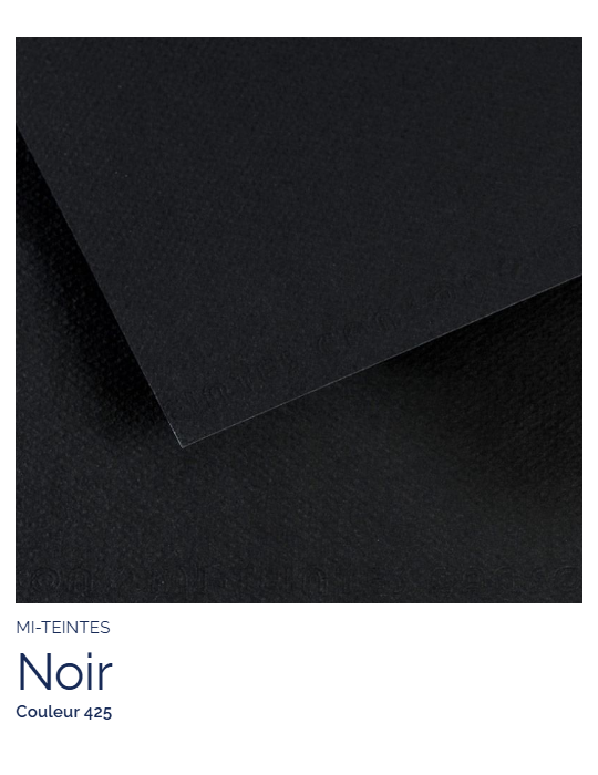 FL   MI-TEINTES®  50X65 160G  NOIR 425