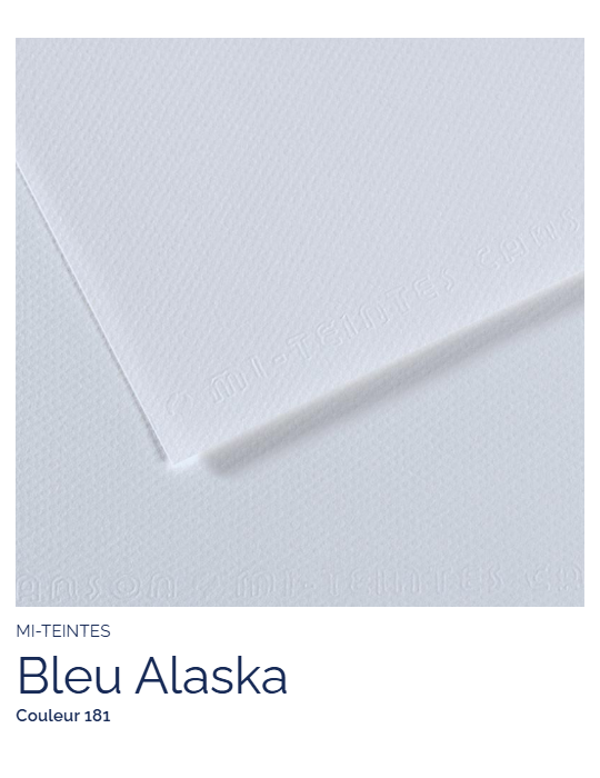 FL   MI-TEINTES®  50X65 160G  BLEU ALASKA 181