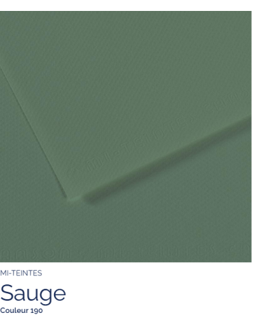 FL   MI-TEINTES®  50X65 160G  SAUGE 190