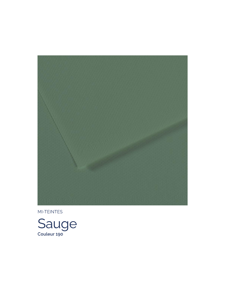 FL   MI-TEINTES®  50X65 160G  SAUGE 190