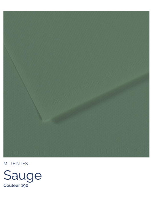 FL   MI-TEINTES®  50X65 160G  SAUGE 190