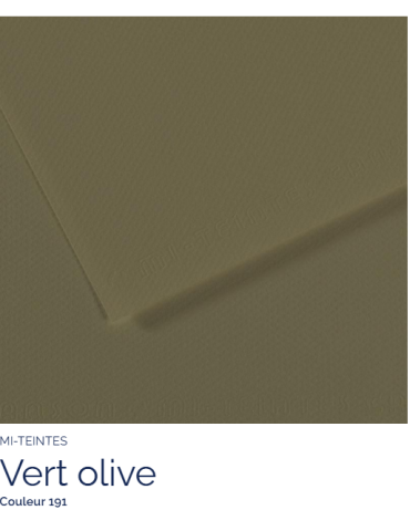FL   MI-TEINTES®  50X65 160G  VERT OLIVE 191