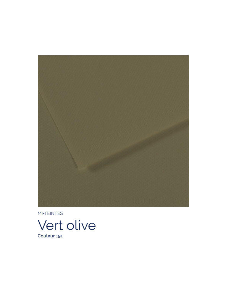 FL   MI-TEINTES®  50X65 160G   VERT OLIVE 191