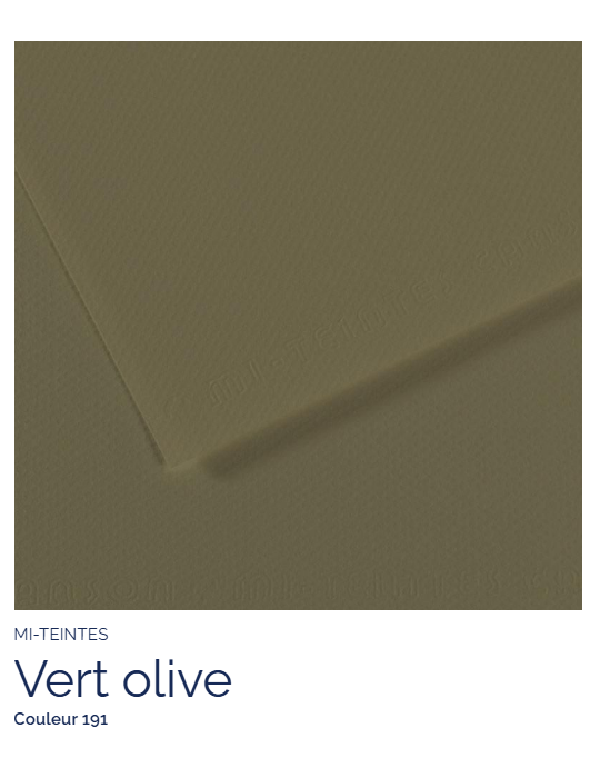 FL   MI-TEINTES®  50X65 160G   VERT OLIVE 191