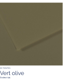 FL   MI-TEINTES®  50X65 160G  VERT OLIVE 191