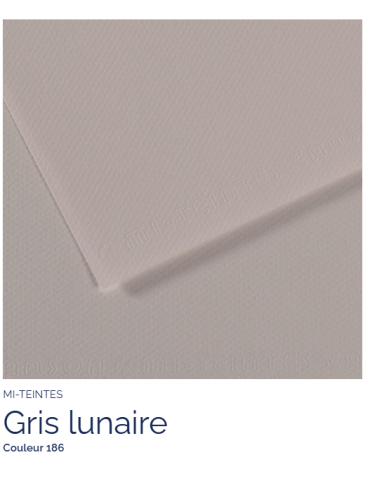 FL   MI-TEINTES®  50X65 160G  GRIS LUNAIRE 186