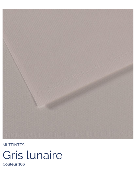 FL   MI-TEINTES®  50X65 160G  GRIS LUNAIRE 186