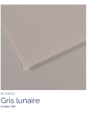 FL   MI-TEINTES®  50X65 160G  GRIS LUNAIRE 186