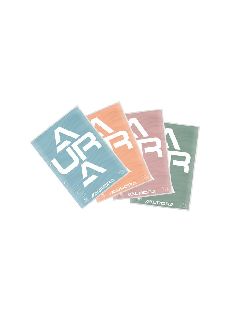 BLOC DE COURS A4 100F.Q10X10 2TR.