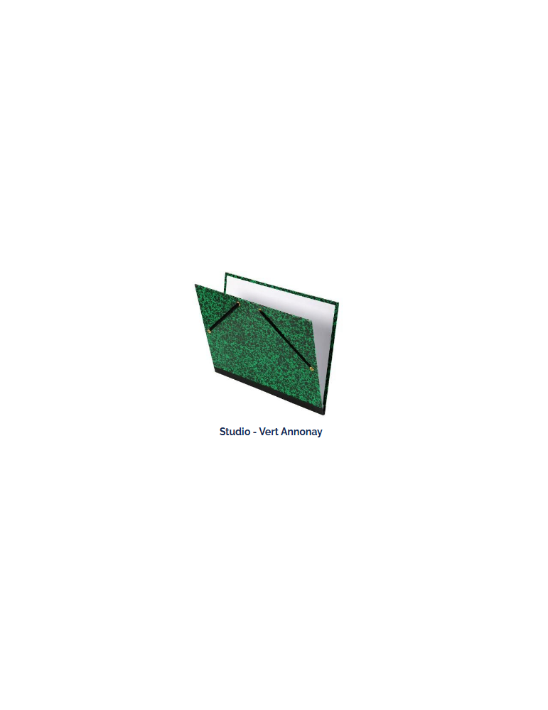 CARTON A DESSIN  STUDIO CANSON® 2 ELASTIQUES 26X33   ANNONAY VERT