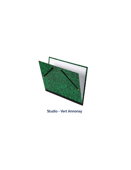 CARTON A DESSIN  STUDIO CANSON® 2 ELASTIQUES 37X52   ANNONAY VERT