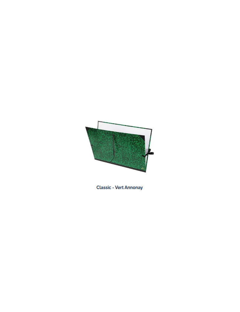 CARTON A DESSIN  CLASSIC CANSON® 3 RUBANS 81X121   ANNONAY VERT