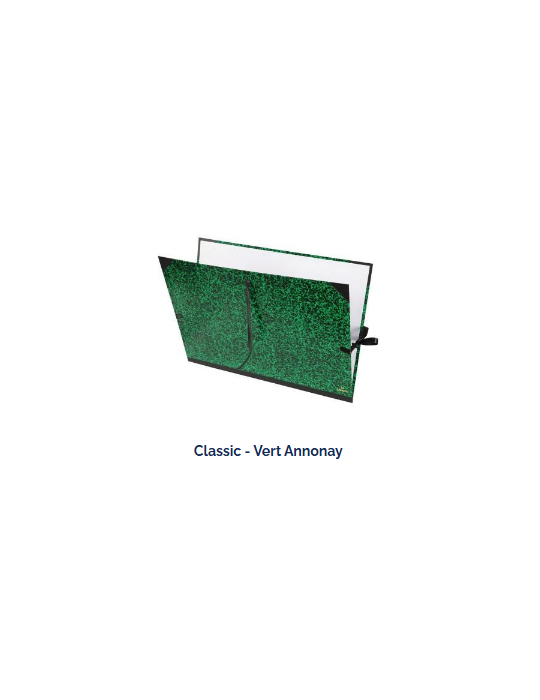 CARTON A DESSIN  CLASSIC CANSON® 3 RUBANS 81X121   ANNONAY VERT