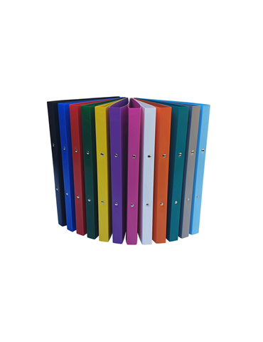 Classeur A4 2A16 PP5 Assorti