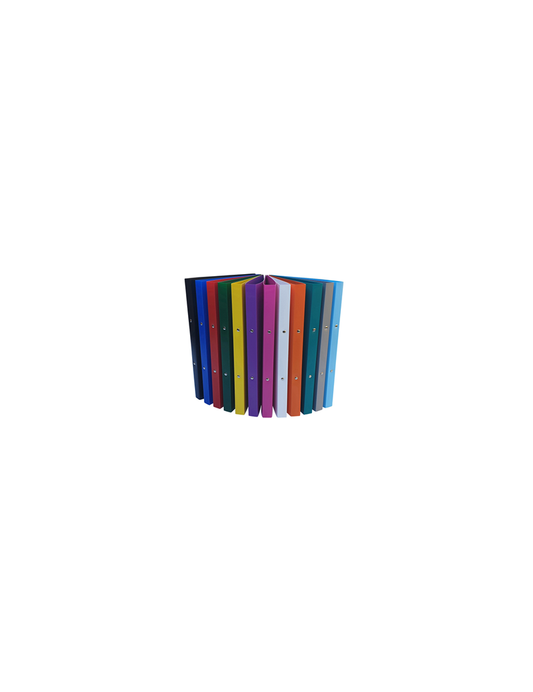 Ringmap A4 2R16 PP5 Geassorteerd