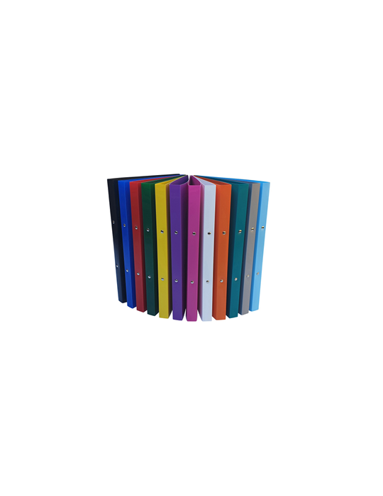 Ringmap A4 2R16 PP5 Geassorteerd