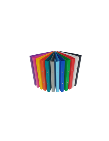Ringmap A4 2R20 PP8 Geassorteerd