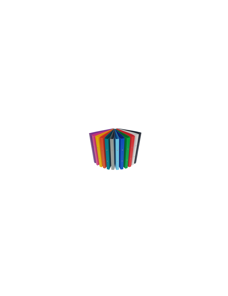 Classeur A4 2A20 PP8 Assorti