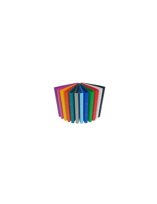 Classeur A4 2A20 PP8 Assorti