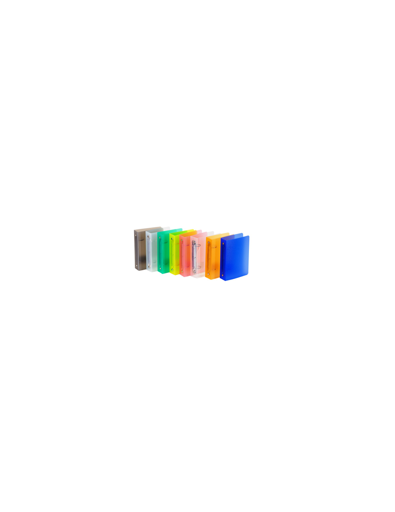 Classeur F2 2A25 PP8 Tr. Assorti