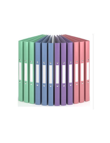 ClasseurWind 12p 240x314mm 2anneaux 24mm