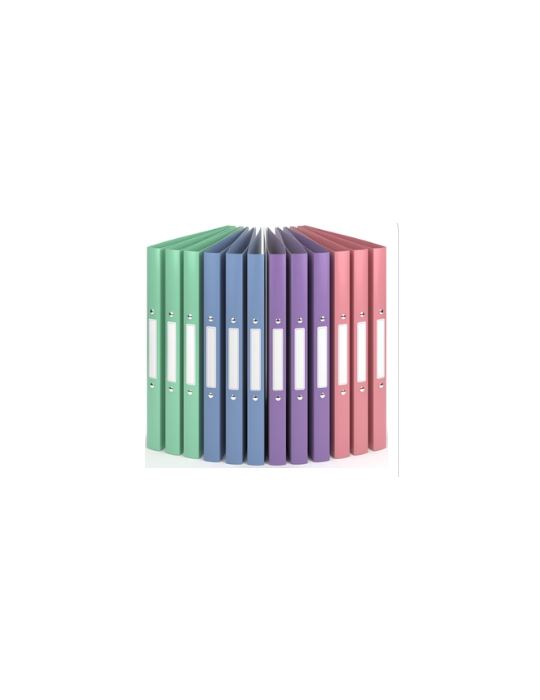 ClasseurWind 12p 240x314mm 2anneaux 24mm