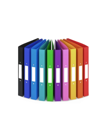 Classeur Rainbow Textured 10p  258x315 2anneaux 36mm