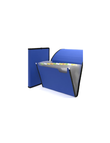 Trieur 12 positions Bleu