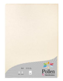 Etui de 25 feuilles Pollen 210x297, ivoire irisé 210g