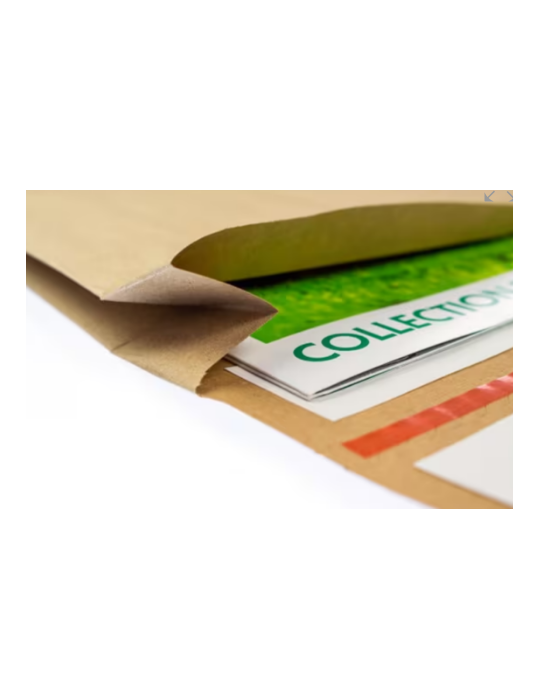 sac pour échantillons Raadhuis 250x430x80mm kraftliner recycling 10 pc