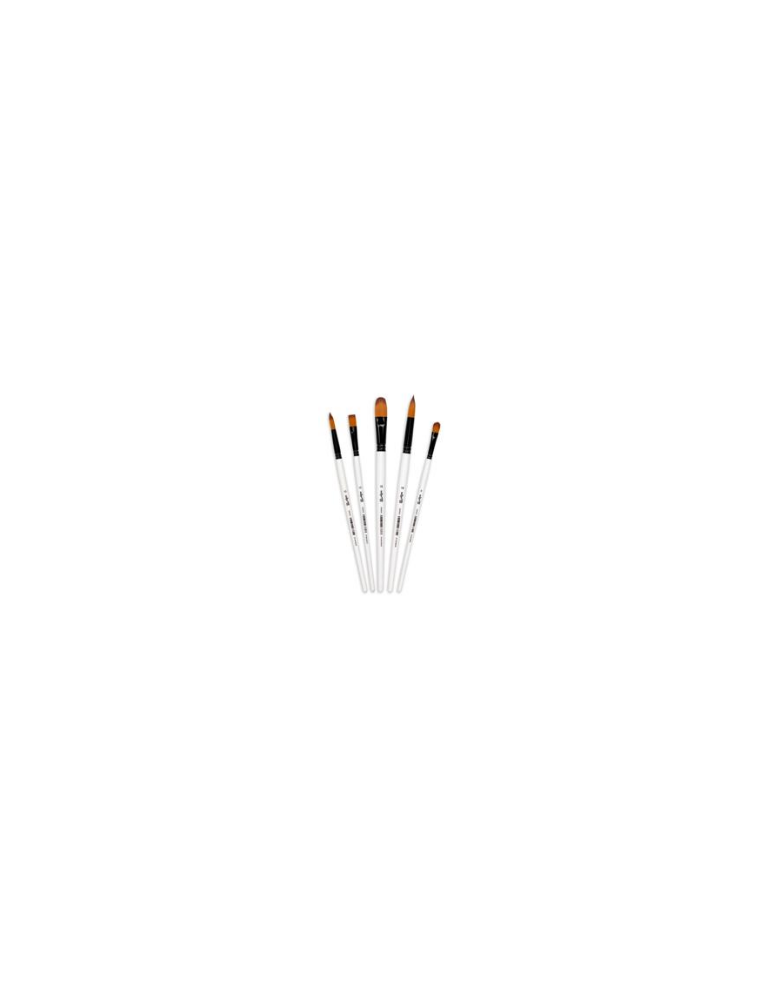 Darwi For You set de 5 pinceaux moyens - Blanc