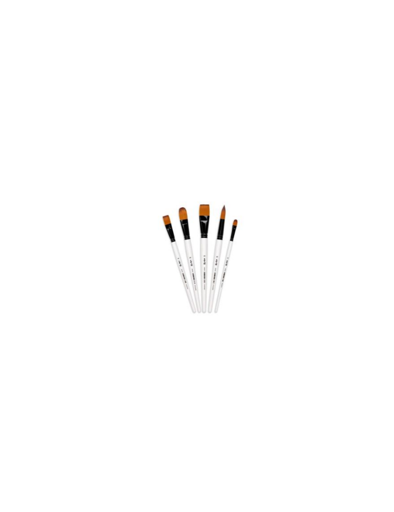 Darwi For You set de 5 pinceaux larges - Blanc