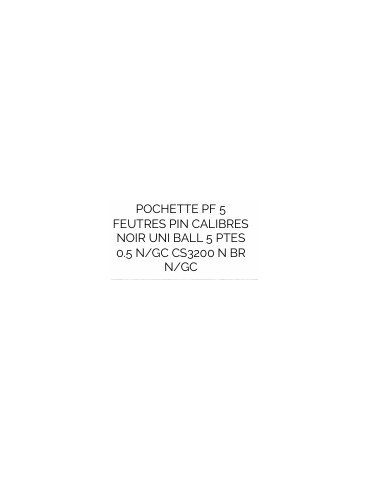 Pochette de 5 feutres pin techniques calibrés 2