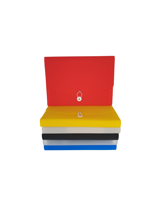 Trieur accordeon - 13 compartiments - Assorti