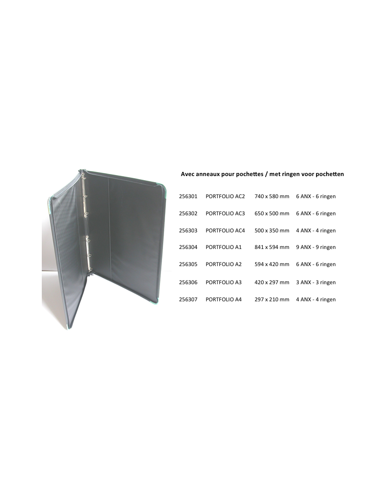 Portfolio AC2